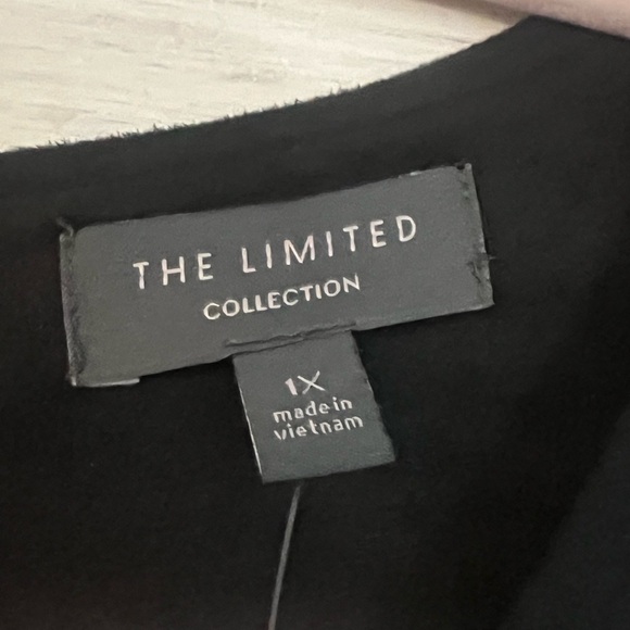 THE LIMITED COLLECTION Black
Faux Leather Suede Pleated
Dress Size 1X NWT $109 - Picture 10 of 13